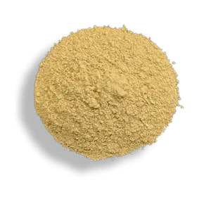 Bismuth Subgallate Powder